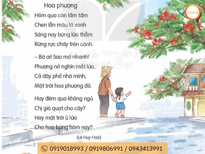 Hoa phượng đỏ nguồn cảm hứng trong thơ ca - Du lịch 360Go 